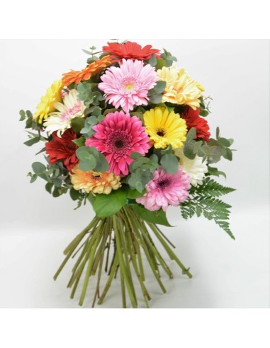 ramo de gerberas de diferentes colores. gerberas. flores naturales