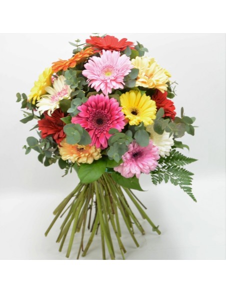 ramo de gerberas de diferentes colores. gerberas. flores naturales