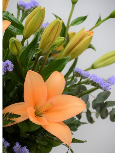 LILLY ORANGE