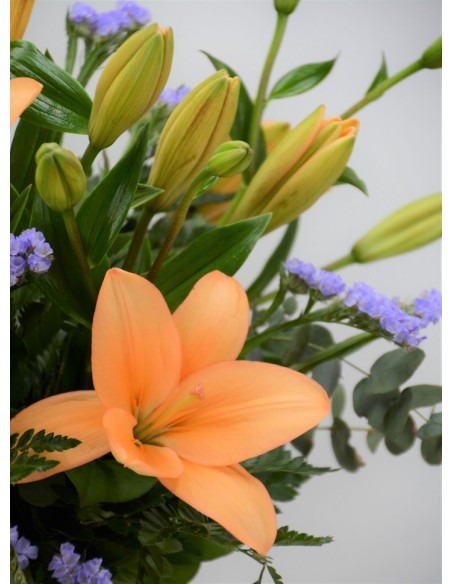 LILLY ORANGE