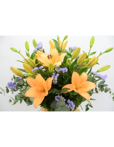 LILLY ORANGE