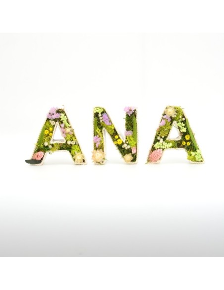 LETRA PRESERVADA 10cm primavera