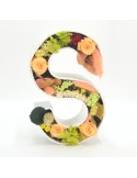 LETRA PRESERVADA 18cm SALMON