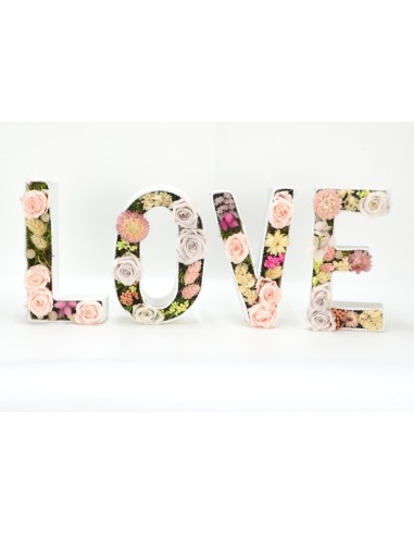 Letras preservadas rosas