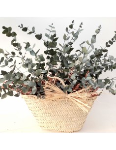 Cesto de eucaliptus preservado para decoración de interiores. 2