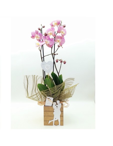 ORQUIDEA CON AMOR