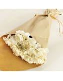 PACK CLAVELES