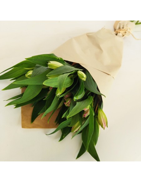 ALSTROEMERIA FLOR EN BLANCO Y ROSA