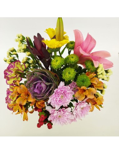 PACK FLORES DE TEMPORADA