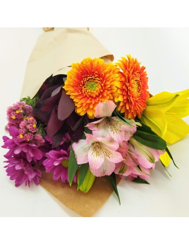 PACK FLORES DE TEMPORADA