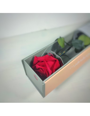 ROSA ETERNA ROJA