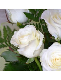 Ramo de 12 rosas blanas. Flores fescas con envio para el mismo día. 2