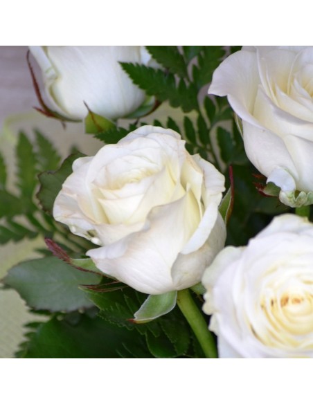 RAMO MAS QUE AMOR BLANCO
