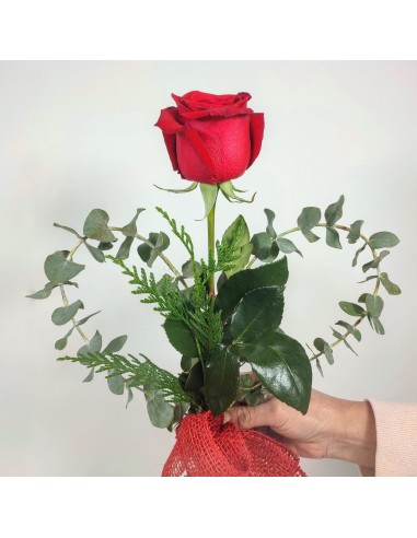 Rosa San Valentín