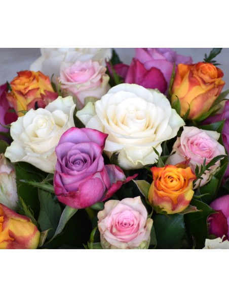 RAMO ROSAS SUPERSIMPATIA