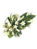PALMA FUNERARIA BLANCA