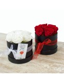 CAJA ETERNA BLANCA