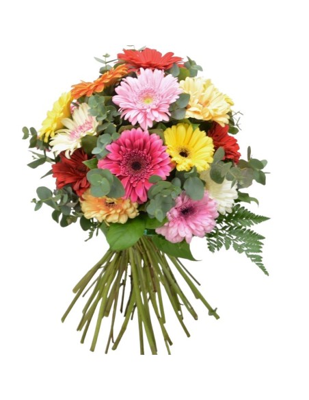 ramo de gerberas de diferentes colores. gerberas. flores naturales