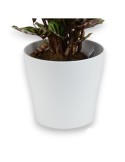 MACETA BLANCA 19CM