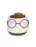 MACETA CON GAFAS