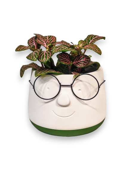 MACETA CON GAFAS. Macetas originales y divertidas. 