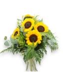 GIRASOL FUN