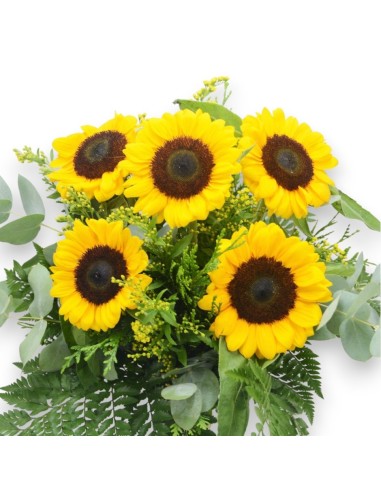 ramo de girasoles para regalar