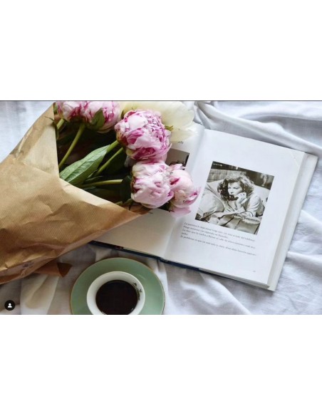 PEONIA  DREAM