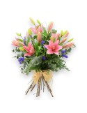 LILLY PINK