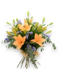 LILLY ORANGE