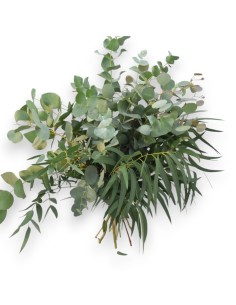 Ramo de eucaliptus variados para la decoración del hogar.