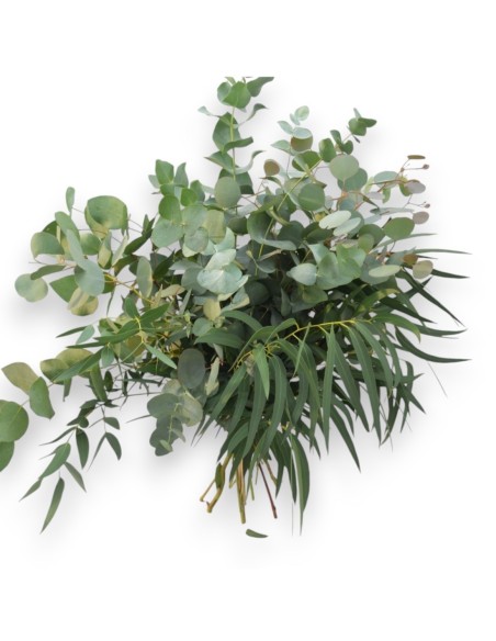Ramo de eucaliptus variados para la decoración del hogar.