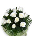 PERLA BLANCA XL