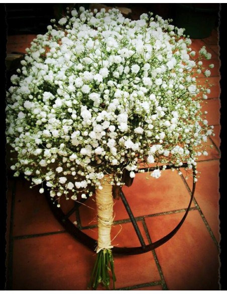 BOUQUET DE PANICULATA