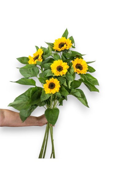 Comprar girasoles, envío de flores a domicilio.