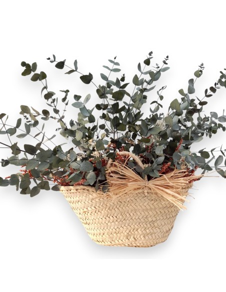 Cesto de eucaliptus preservado para decoración de interiores.