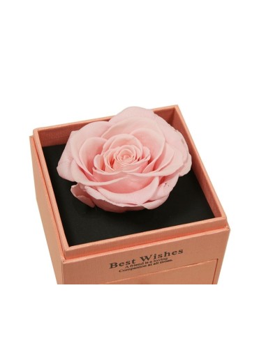 Comprar rosas y joyas con envío a domicilio en 24h.