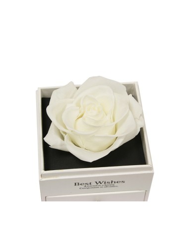 Comprar rosas blancas y joyas con envío a domicilio en 24h.