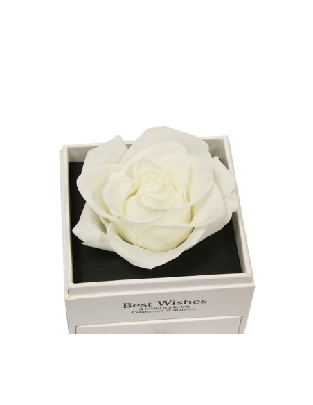 Comprar rosas blancas y joyas con envío a domicilio en 24h.
