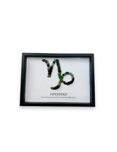 Comprar cuadro del signo escorpio del zodiaco. Envio a domicilio 24h 2