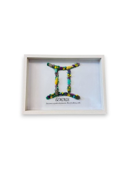 Comprar cuadro del signo geminis del zodiaco. Envio a domicilio 24h
