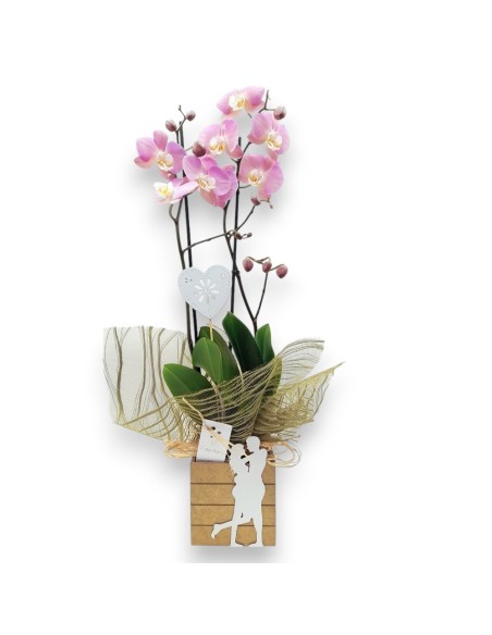 Regalar plantas para San Valentín con reparto a domicilio 24 h.