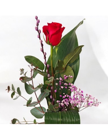 Comprar rosas frescas con envio San Valentin. Floristeria online.