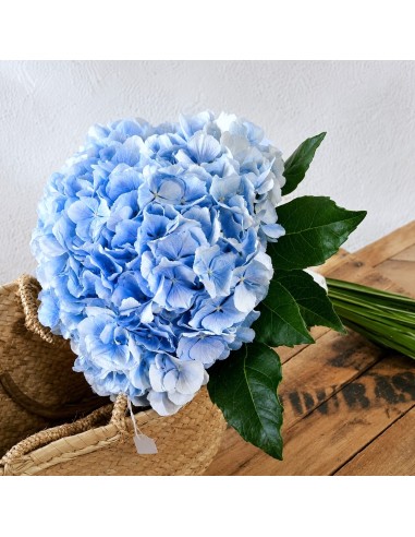 ramo de novia flores naturales azules