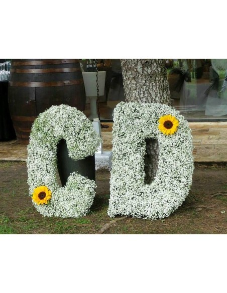 LETRAS PANICULATA GRANDES