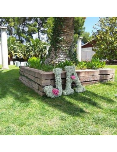 LETRAS PANICULATA GRANDES