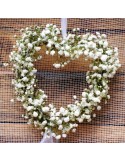 CORAZÓN DE PANICULATA 25