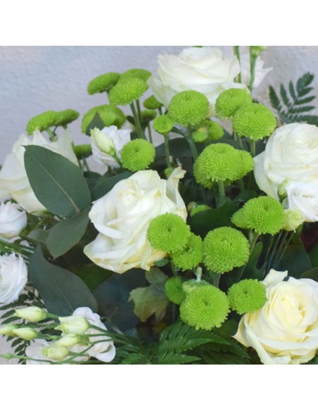 Ramo Elegance