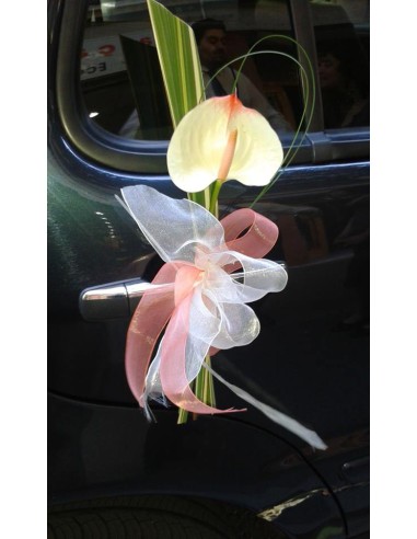 PUERTA COCHE ANTHURIUM