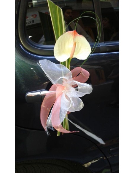 PUERTA COCHE ANTHURIUM